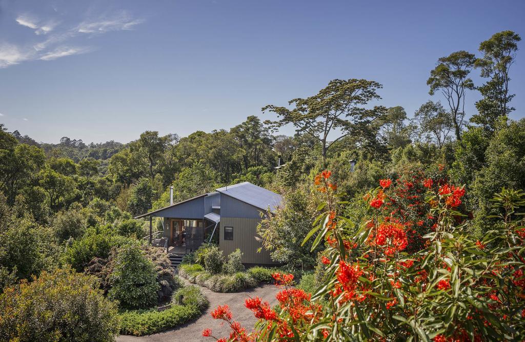 Spicers Tamarind Retreat Hotel Maleny Kültér fotó
